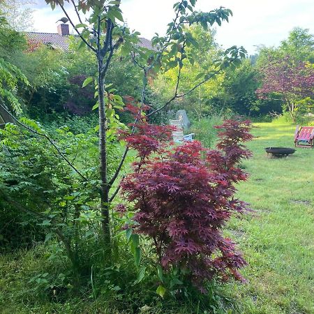 Appartamento Waldzauber Waldkirchen Esterno foto